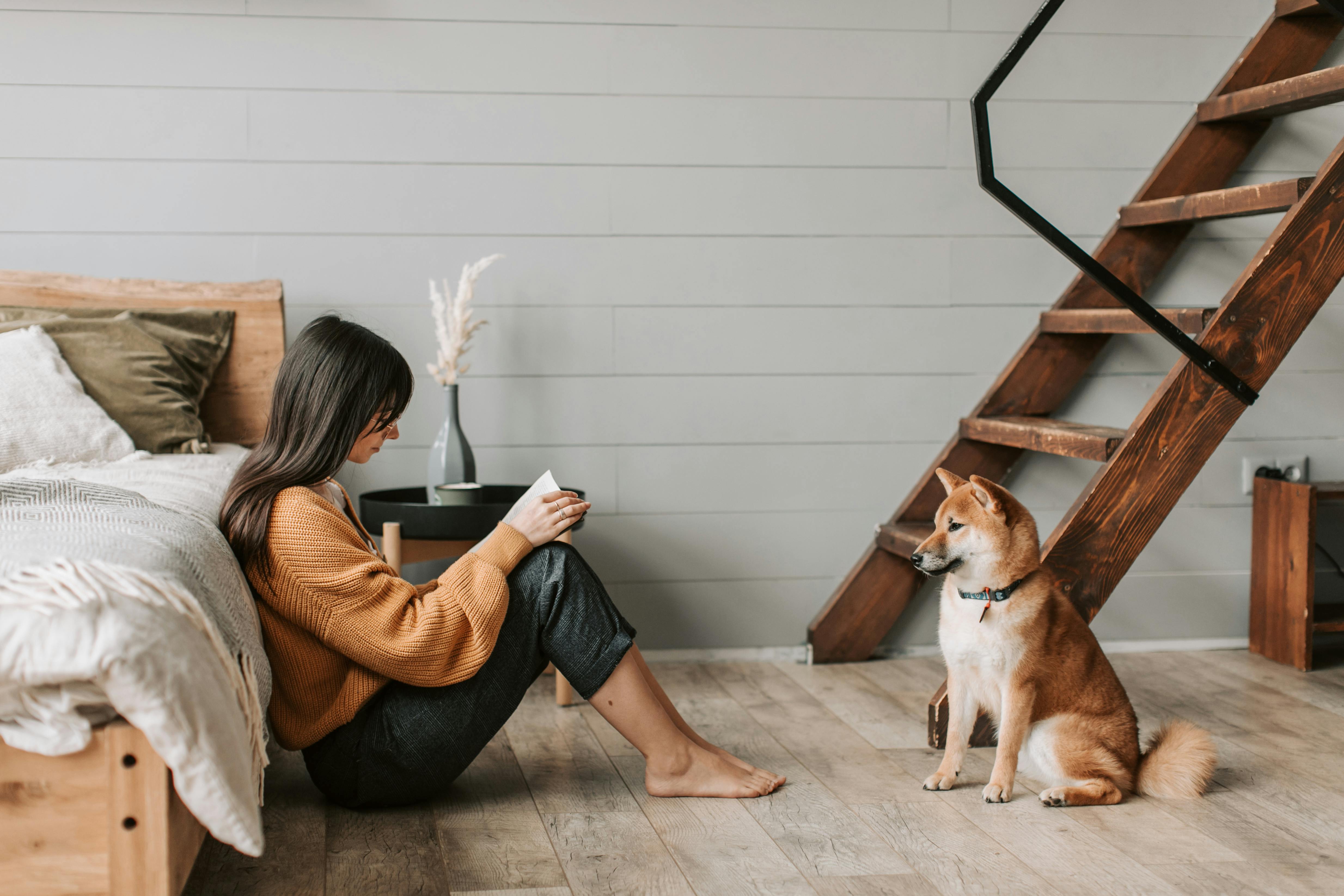 Free Woman reading a book with her Shiba Inu dog at home, a cozy and relaxing scene. Stock Photo