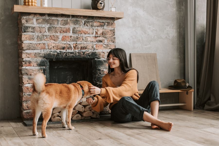 A woman relaxing with her healthy, happy dog in a cozy living room