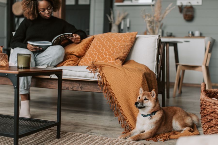 Woman reading on a sofa with her dog by Vlada Karpovich on Pexels