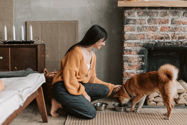 A Woman Feeding A Dog At Home