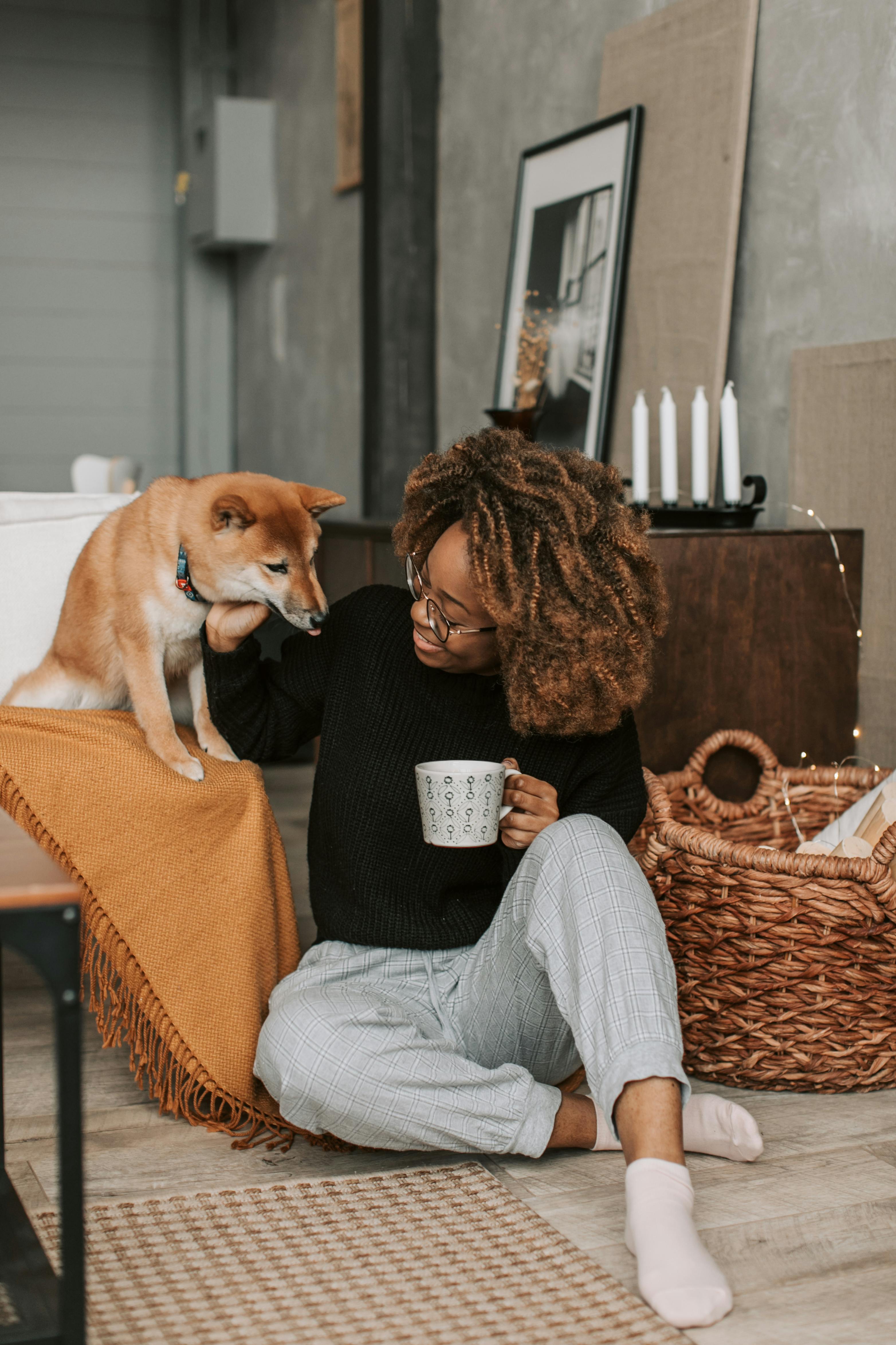 Free Cozy indoor scene of a woman with afro hair enjoying a moment with her Shiba Inu. Stock Photo