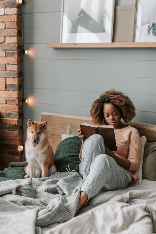 Free A Woman Reading Book while Sitting on the Bed Stock Photo