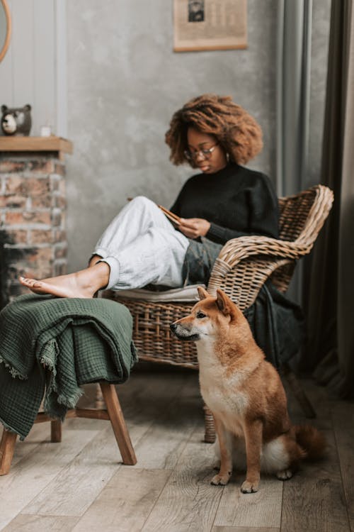 Immagine gratuita di a casa, animale domestico, cane