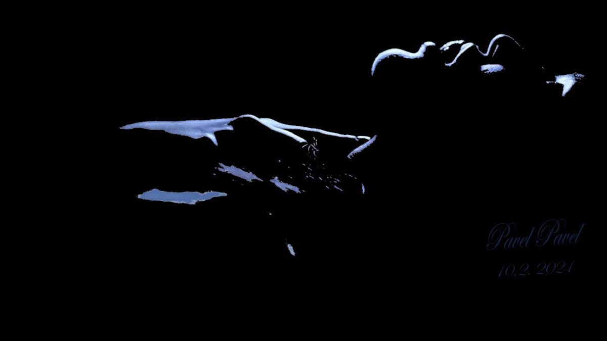 Equipe comemorando bons resultados operacionais