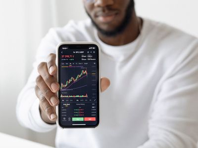 Biz Analyst Dashboard