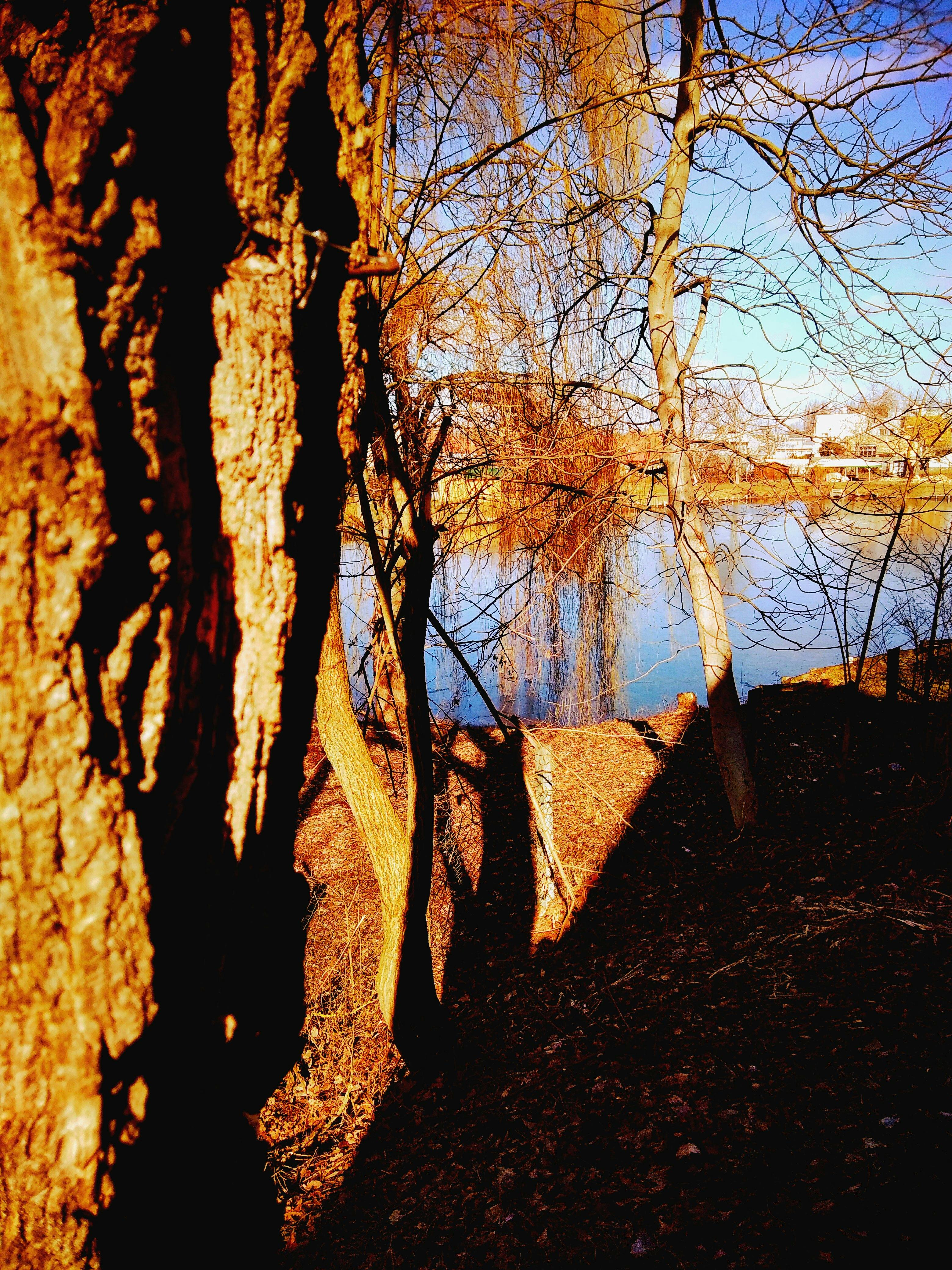 デイトレードと日中取引