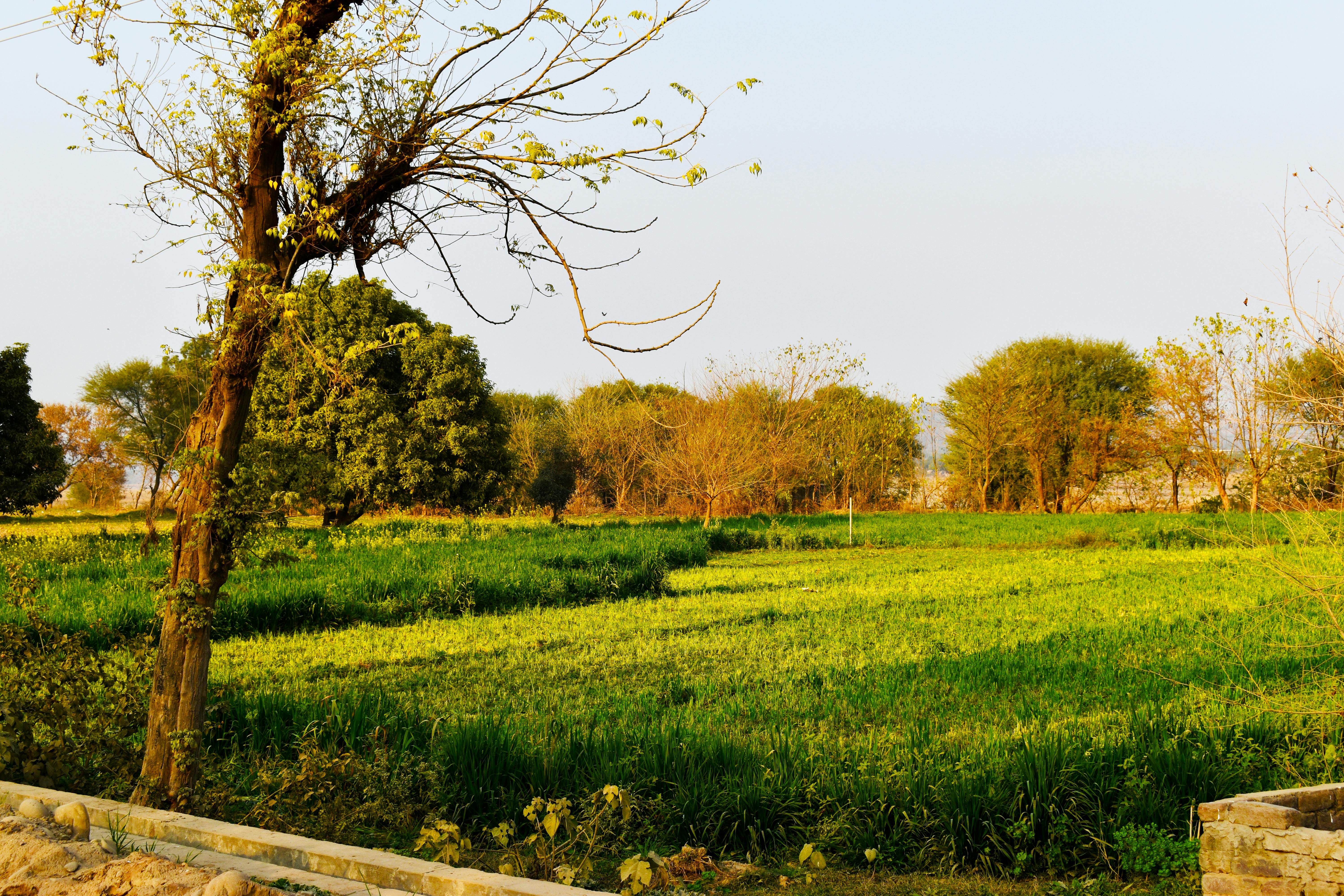 AI inclusion expanding credit access across global emerging markets