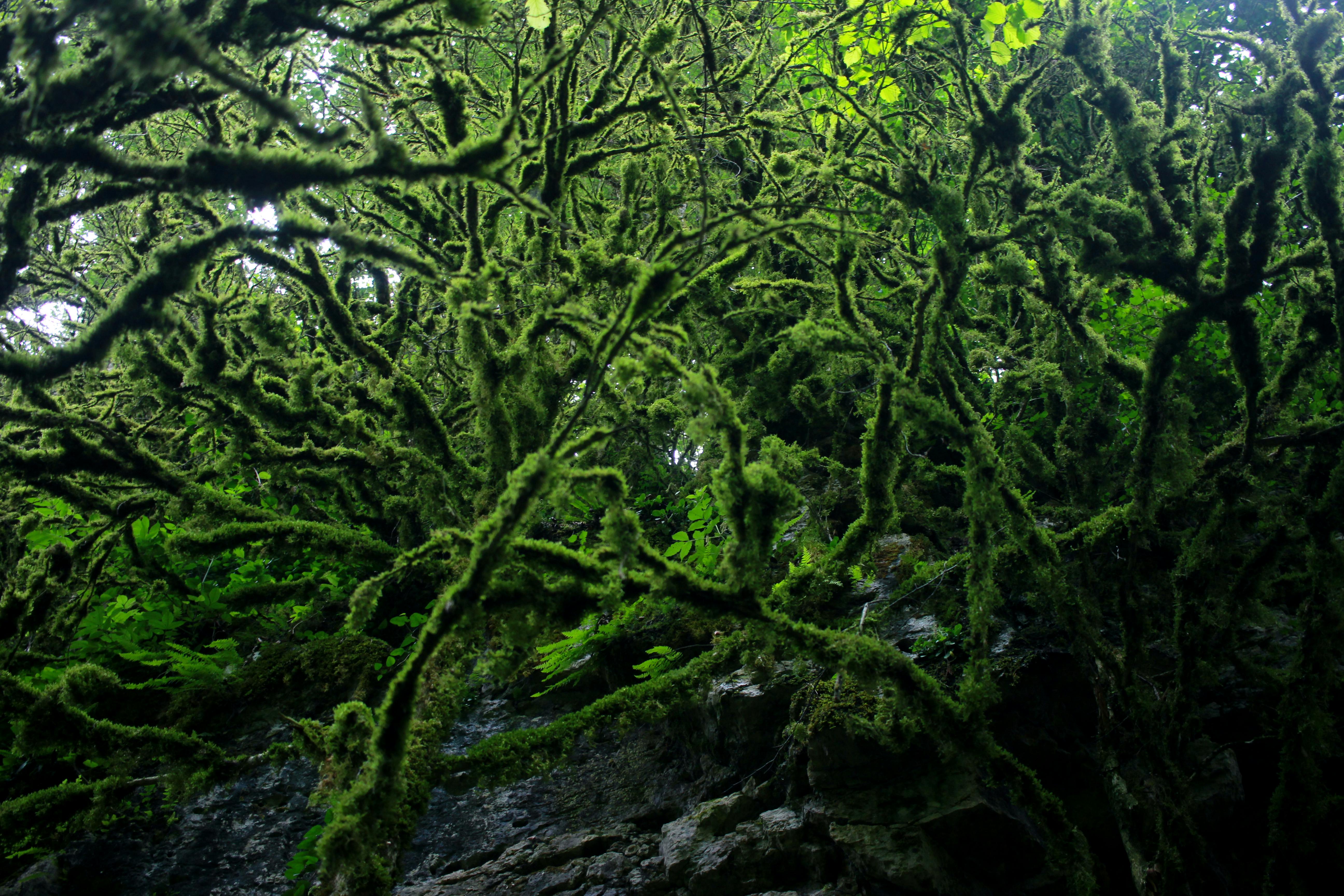 リベンジトレード