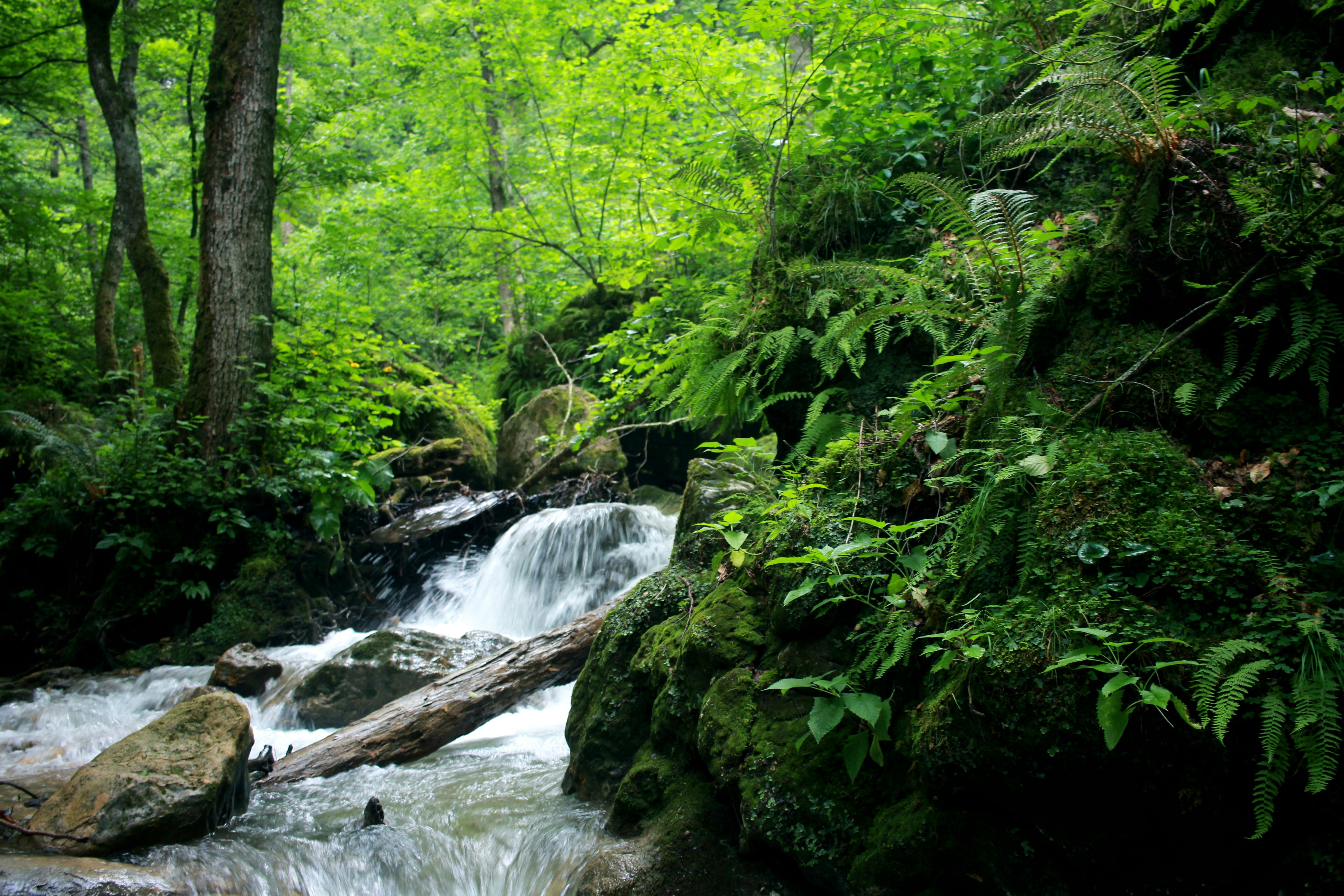 FOMOと取り残される恐怖