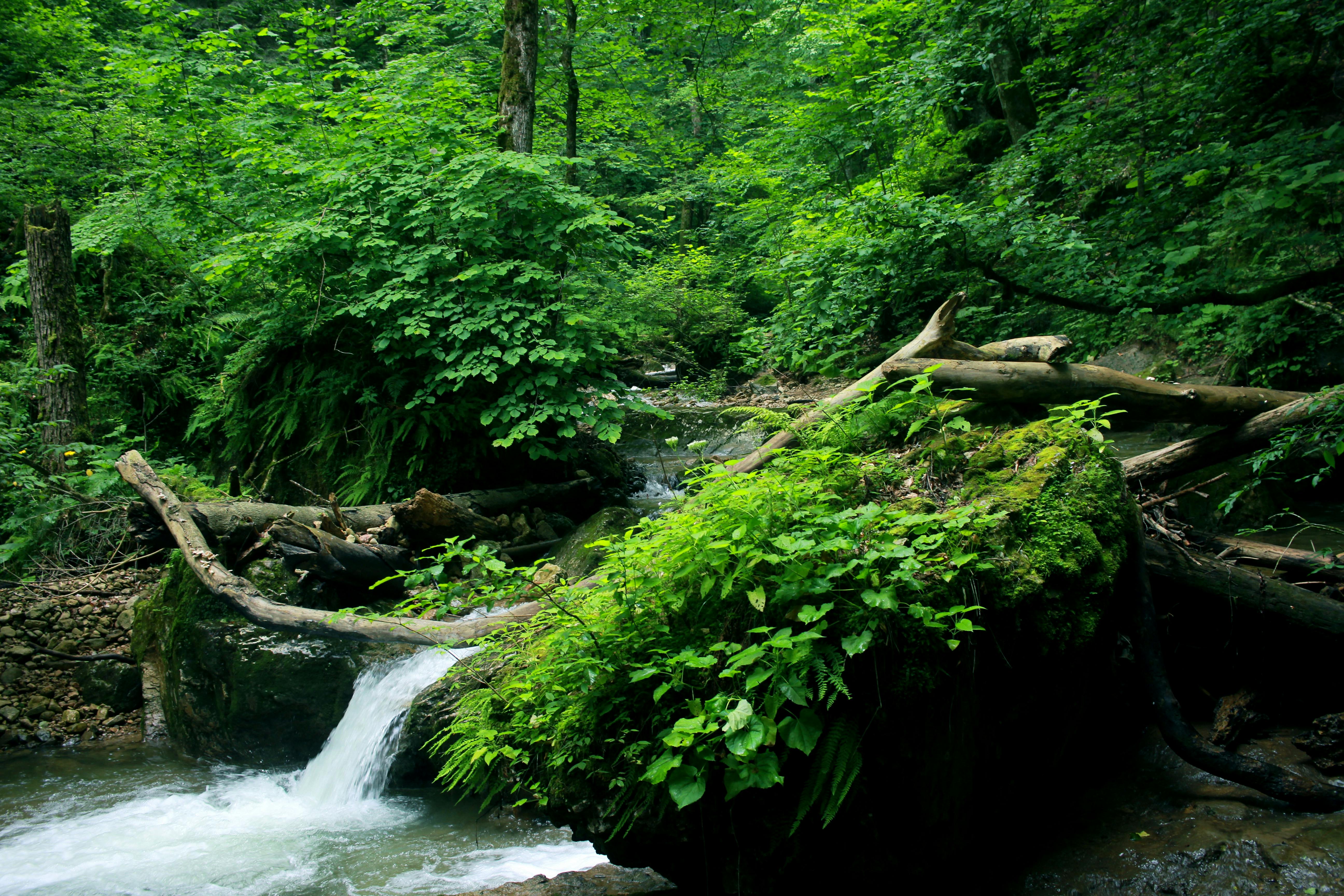 商品取引とコモディティ