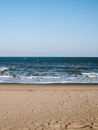 Sea Waves Crashing on Shore