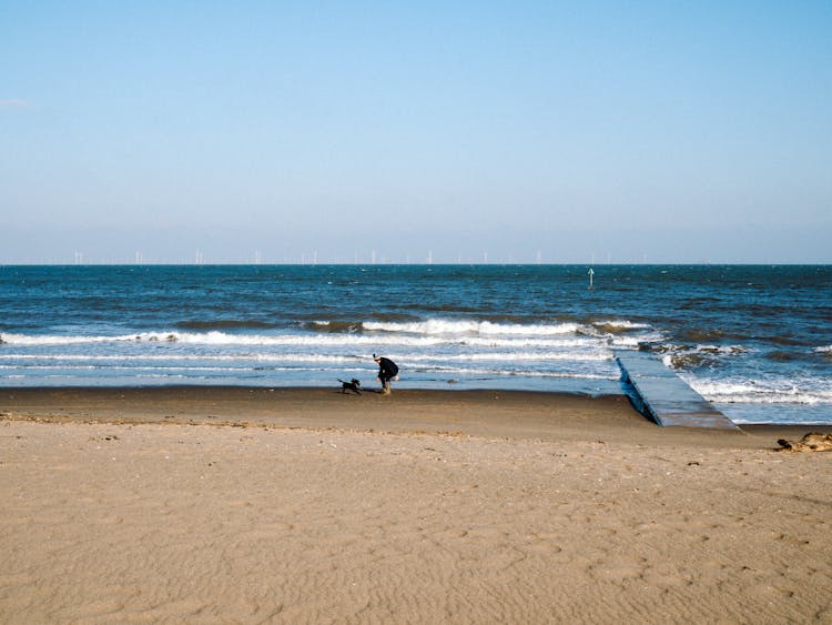 Man Playing With Dog On Beach