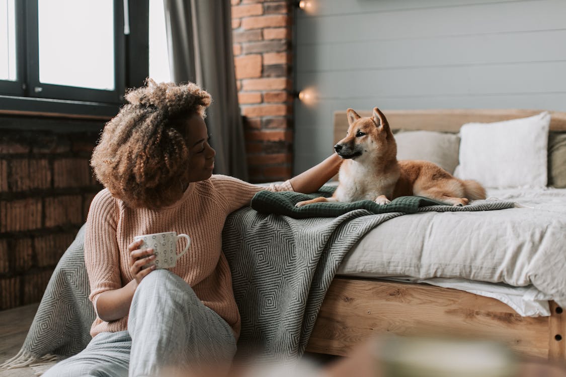 Posgrado de terapia asistida animales online