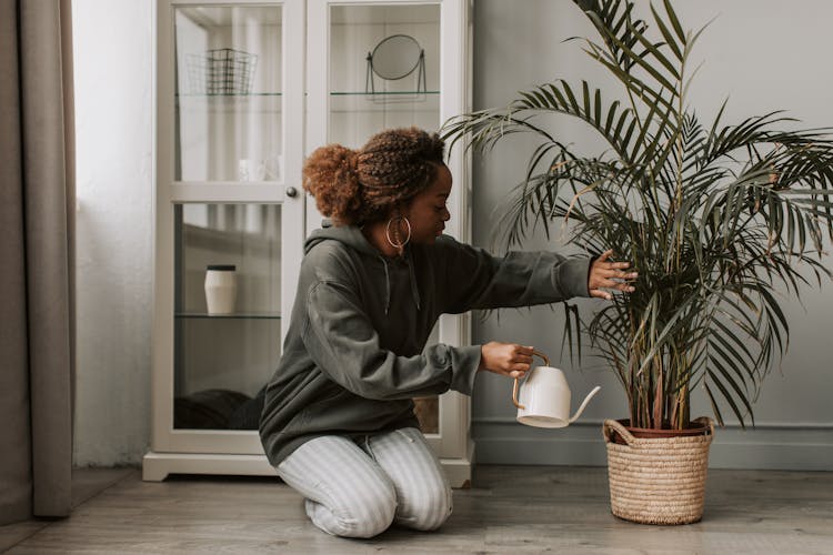 A Woman Watering A Plant 