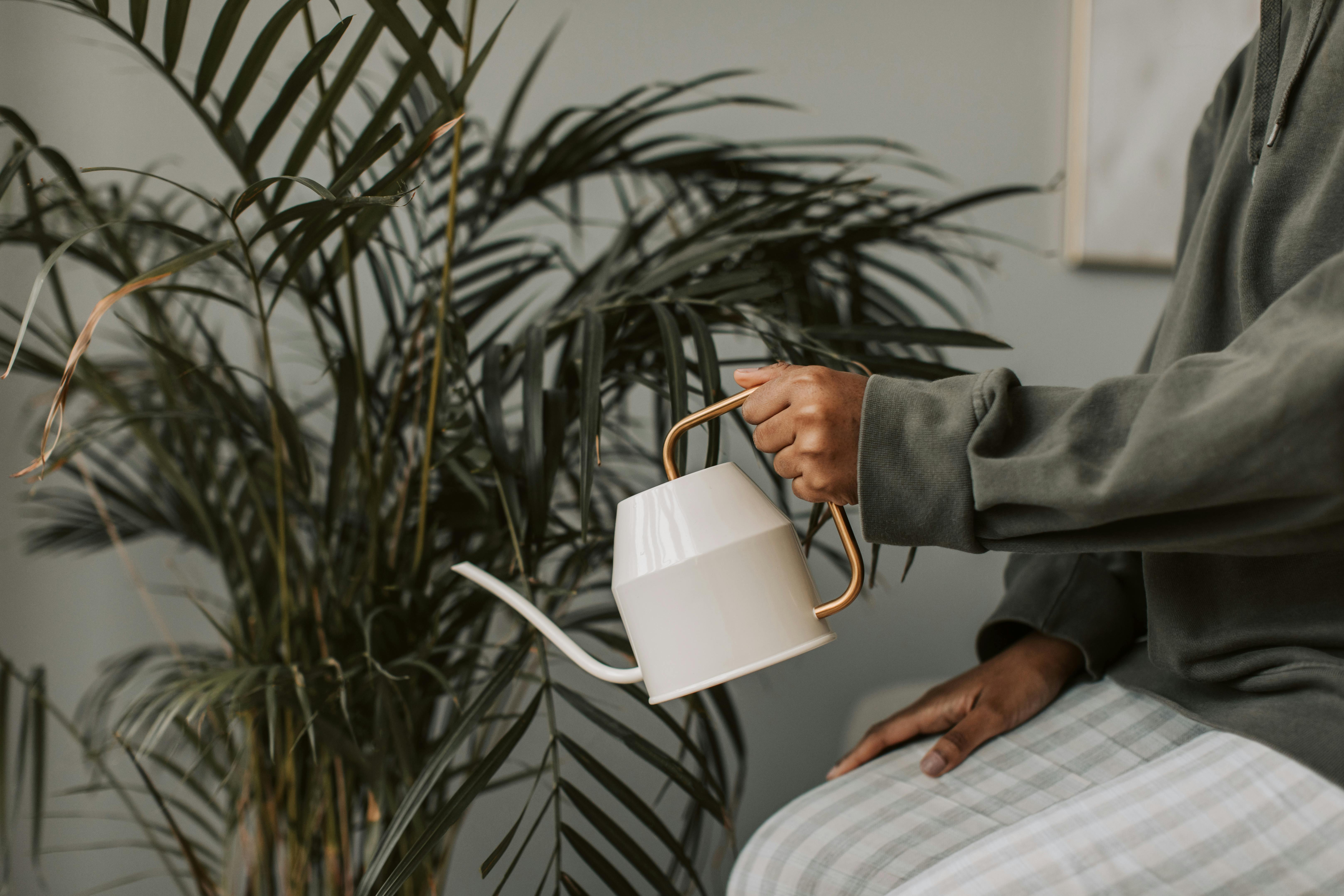 A person holds a watering can while tending to a lush indoor plant.