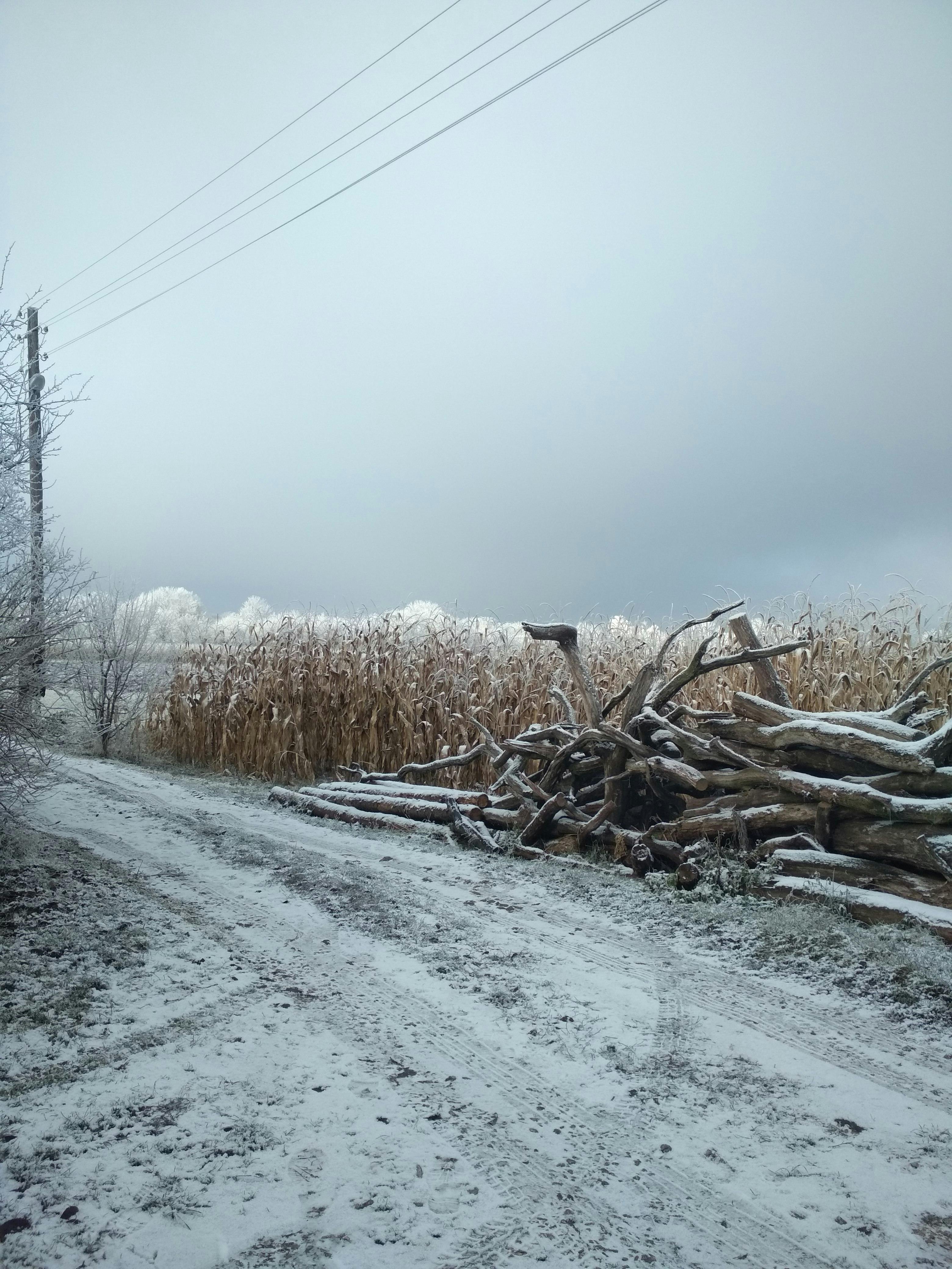 إنسان وروبوت يتفاعلان في مكتب
