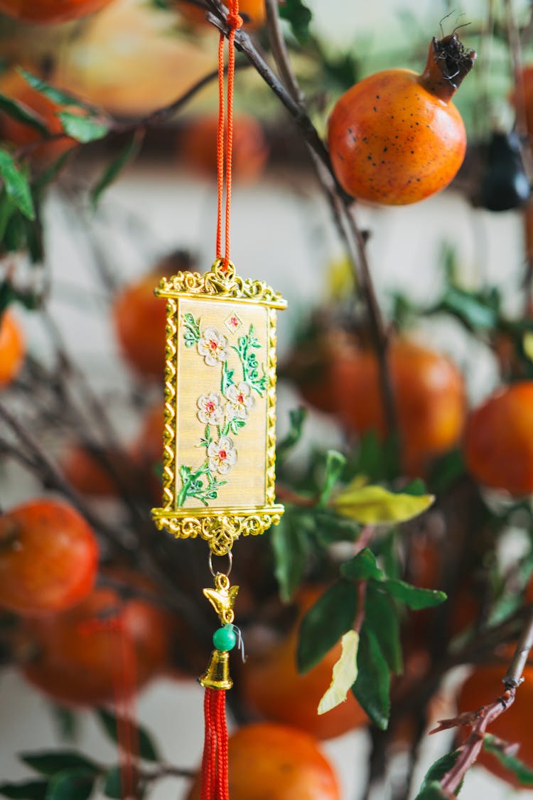 Close-up Of An Ornament Hanging On A Little Kaki Tree