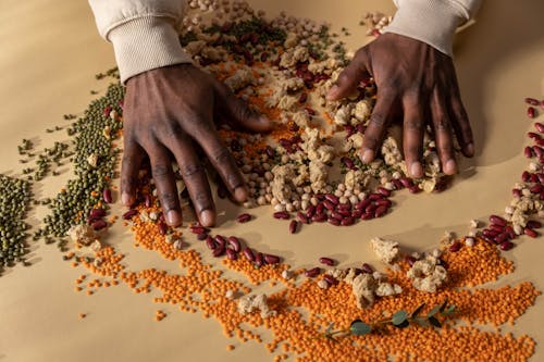 Person Holding Brown and Red Seeds