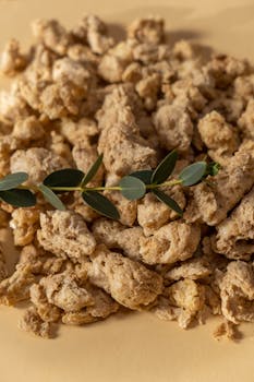 Pile of dehydrated soy chunks with a green leafy branch, highlighting healthy food alternatives.