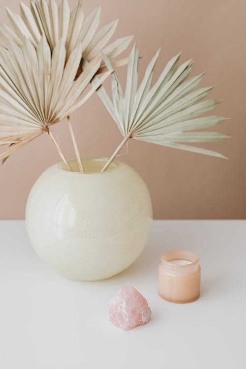 Free White Ceramic Vase With White Flower Stock Photo