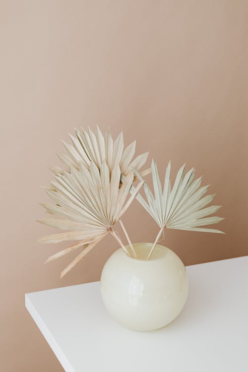 Free White Ceramic Vase on White Table Stock Photo