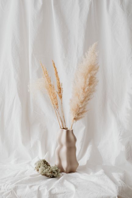 Stylish beige vase with pampas grass against a textured white background, perfect for modern decor themes.