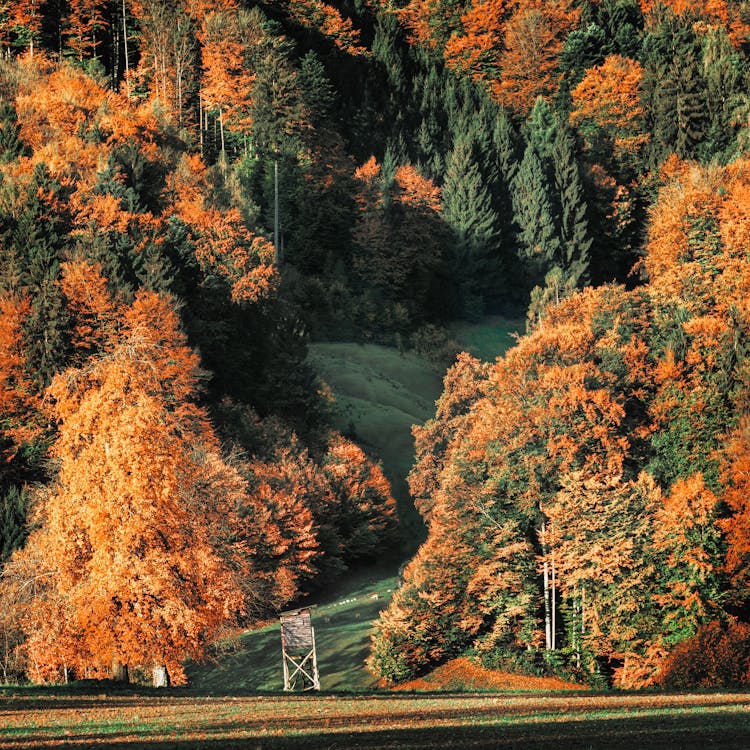 Kostnadsfri bild av berg, dagsljus, färger