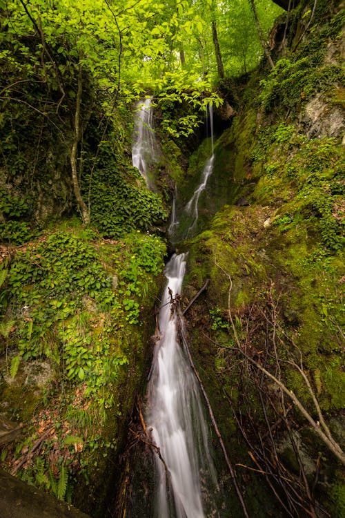 Бесплатное стоковое фото с вертикальный выстрел, вода, гора