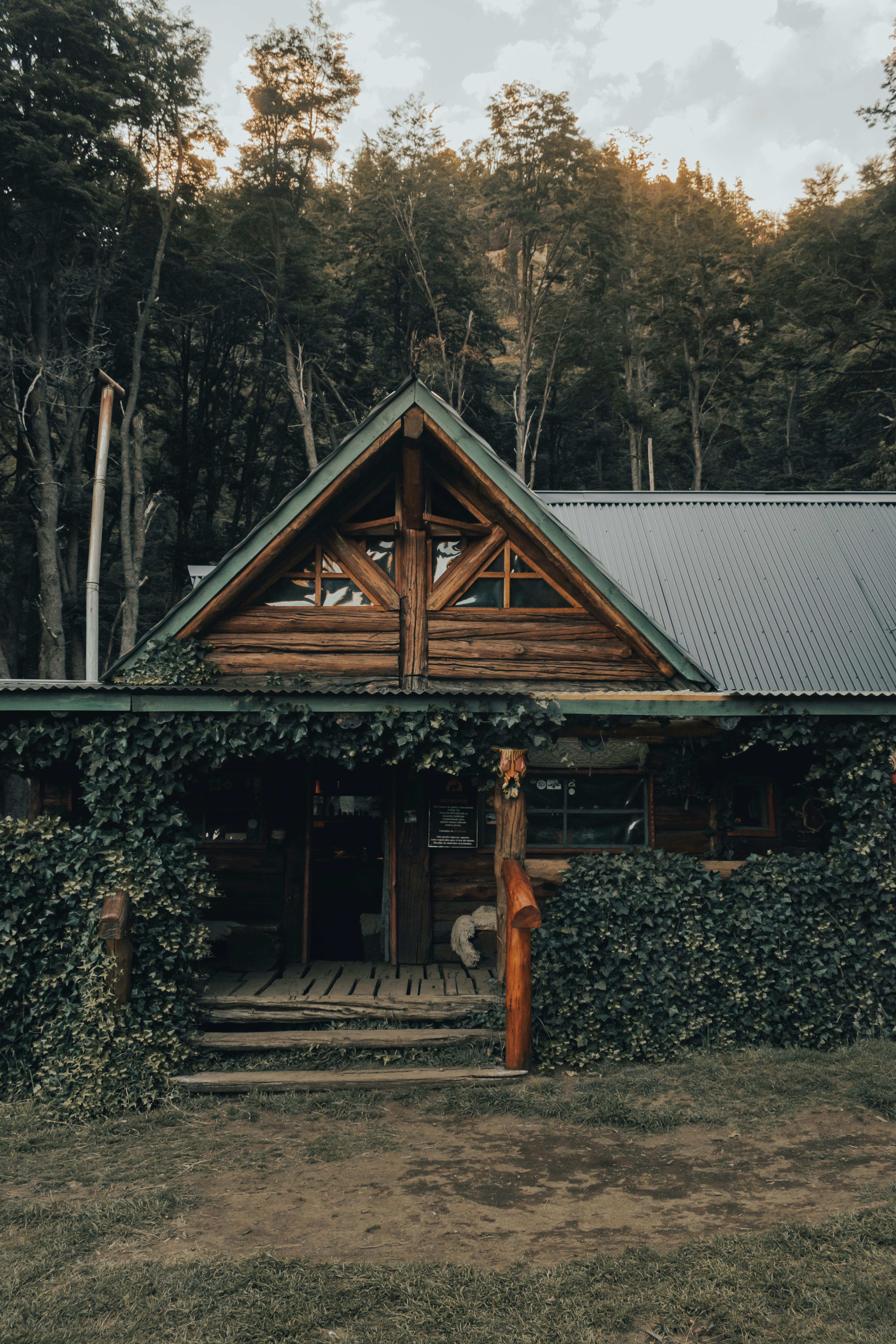 Exterior of residential wooden house with terrace covered with green trees placed in forest in countryside in daytime