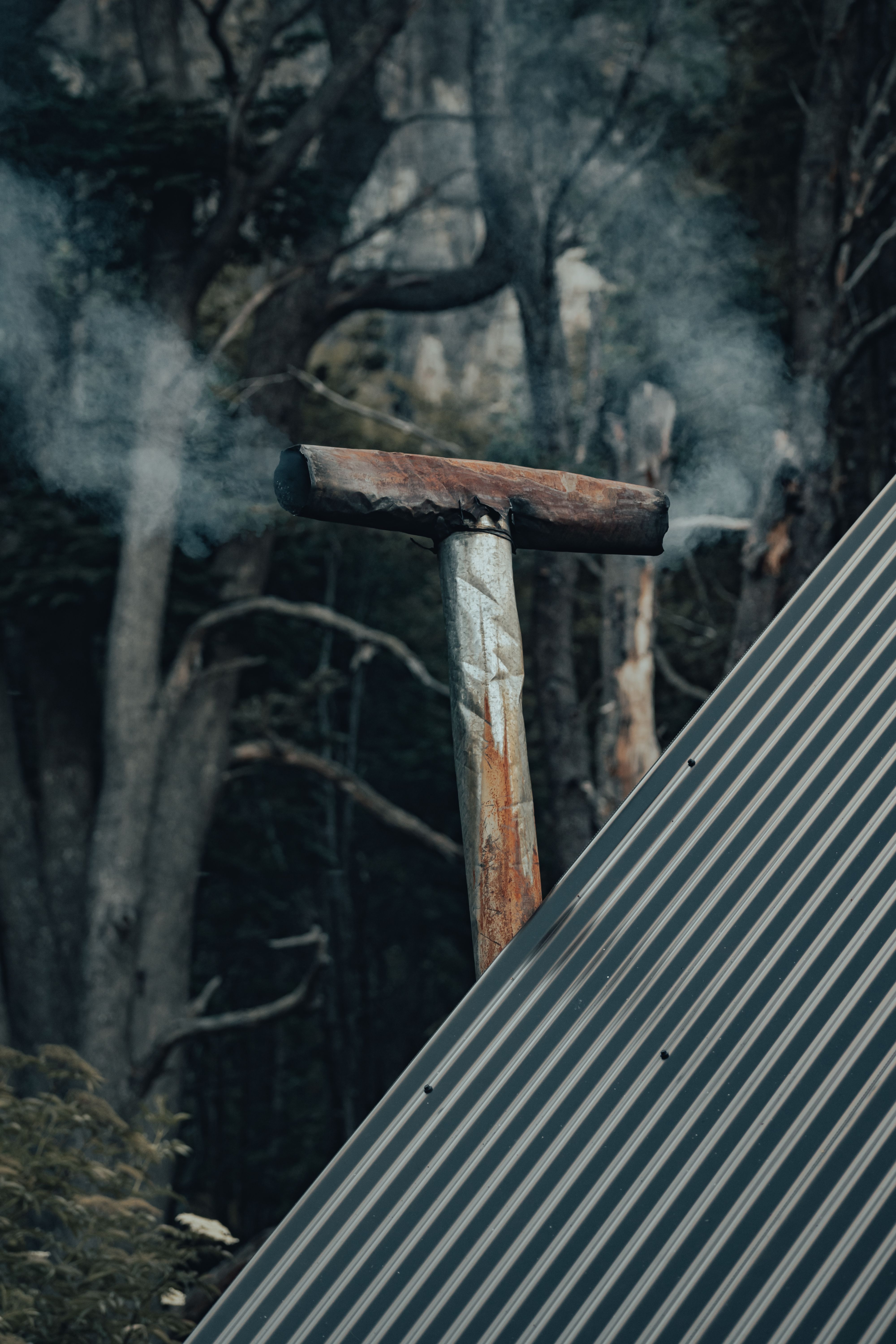 Metal construction placed in forest · Free Stock Photo
