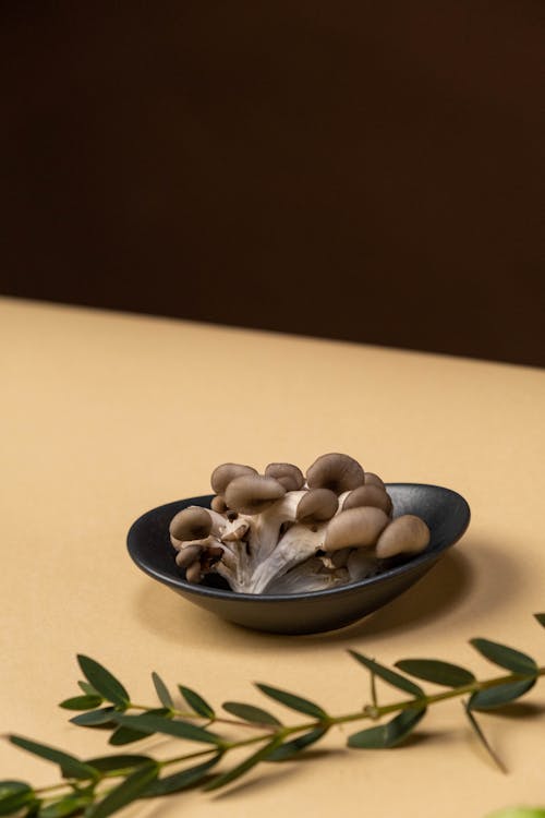 Darmowe zdjęcie z galerii z azjatycki, boczniaki, ceramiczny