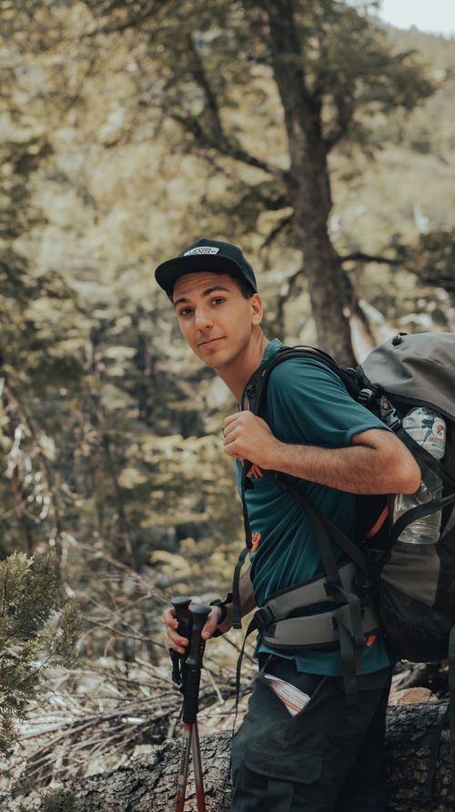 Free Calm hiker in casual clothes with trekking poles and backpack traveling in green forest in sunny day and looking at camera Stock Photo