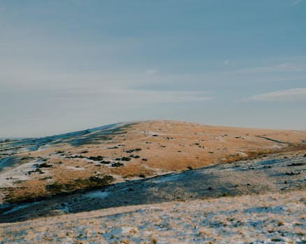 A tranquil winter landscape showcasing snow-dusted rolling hills under a clear blue sky.