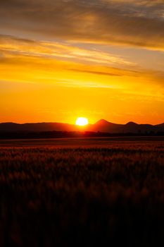 Stunning view of the golden sunset over Czech fields and mountains, creating a serene silhouette scene.