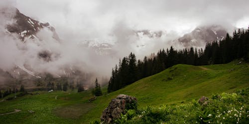 Free stock photo of alps, austria, fog