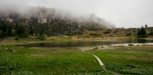 Free stock photo of alps, austria, fog