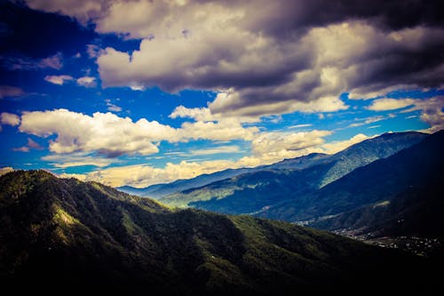 Immagine gratuita di cielo azzurro, foresta, forma di nuvole