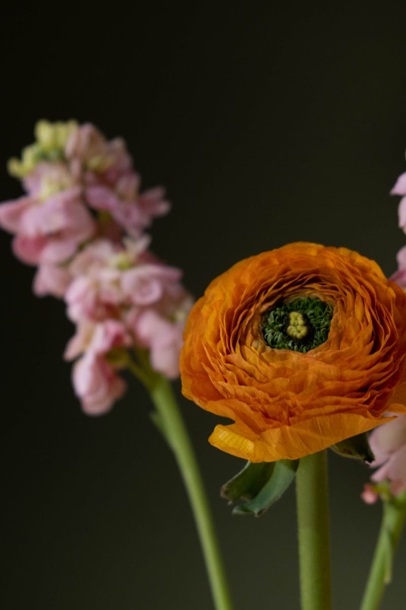 Getting Started In Stock Photography