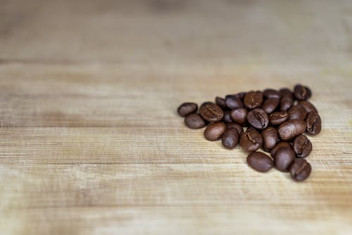 Free stock photo of agriculture, arabica, aroma