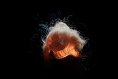 Surreal glowing light form with dynamic fibers, creating an abstract art piece.