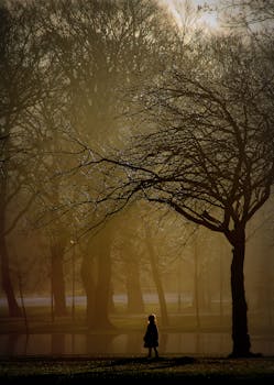 在一个宁静的早晨，一个女孩的孤独剪影穿过雾气蒙蒙、树木光秃的公园