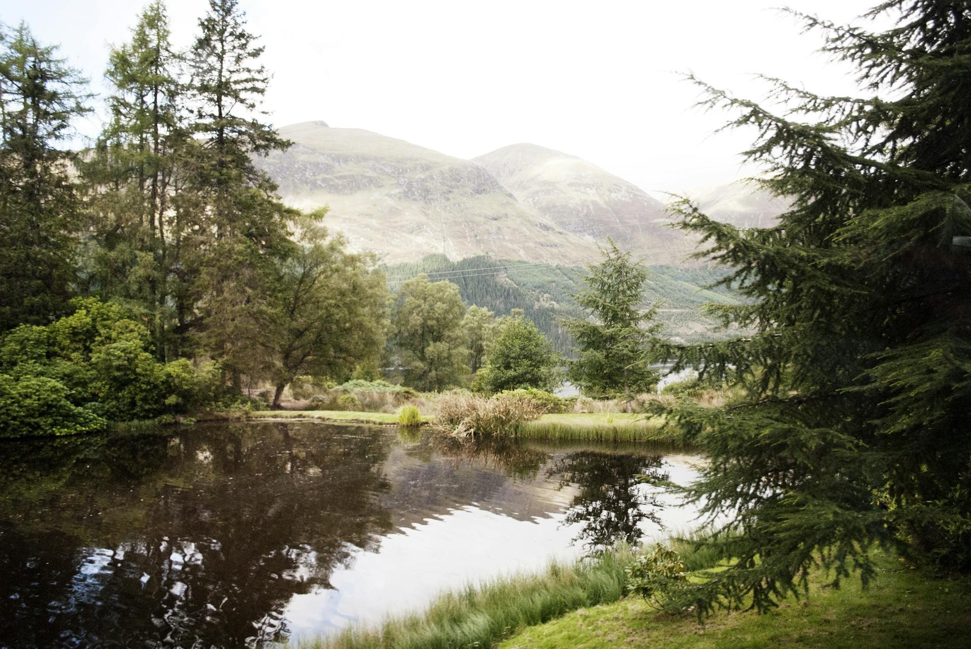 Beautiful Scottish landscape featuring a tranquil lake and lush green mountains.