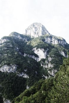 Serene view of a verdant mountain in Veneto, Italy, showcasing nature's untouched beauty.
