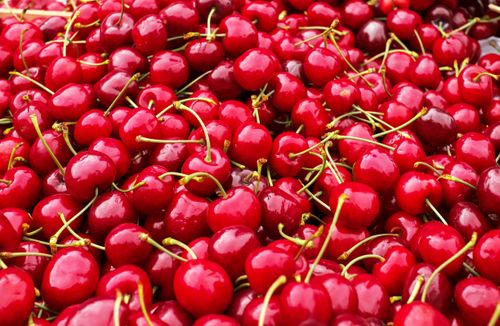 Free Close-up of a vibrant pile of fresh red cherries, captured in brilliant detail. Stock Photo