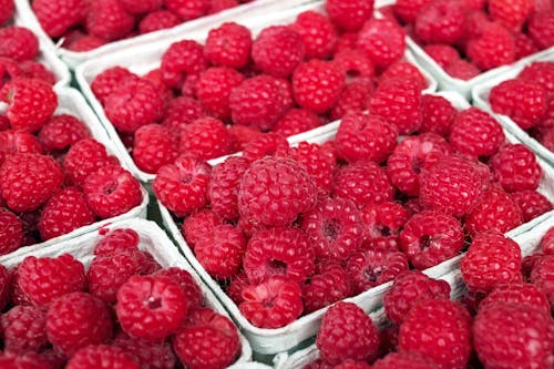 Close Up Photo of Raspberries