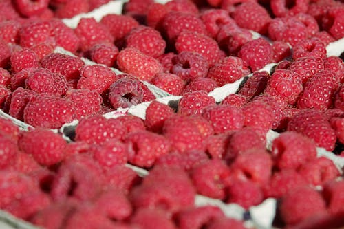 Raspberries in Close Up Photography