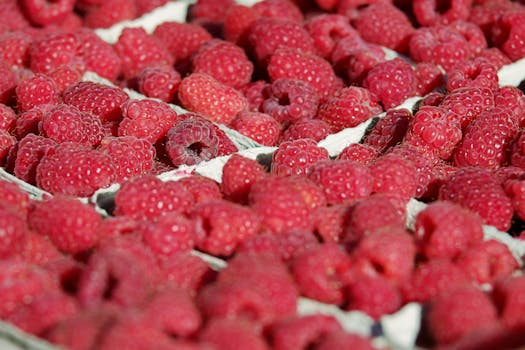 Close-up of fresh raspberries in wooden crates, capturing their vibrant red color and texture.