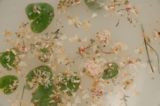 White and Pink Floral Textile