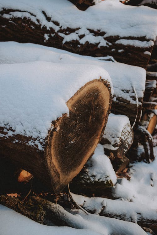 Stack of lumber with spot and fluffy snow on dry surface in countryside on winter day