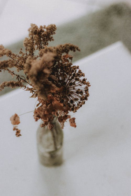 Dry plant bouquet in vase on table